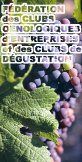 Retournez  l'Accueil !